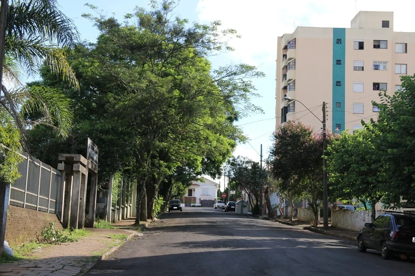 PARABÉNS, CARAZINHO!