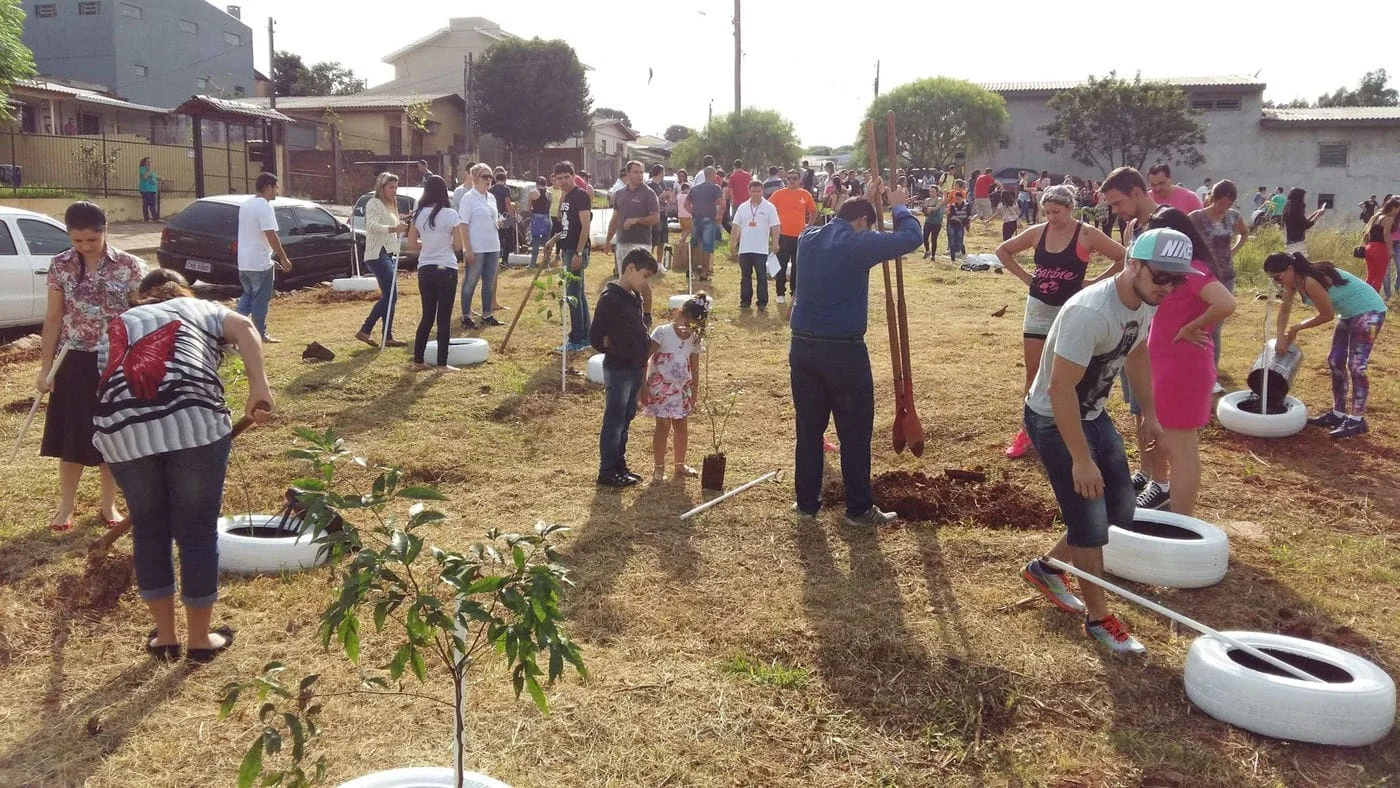 Trote do bem: universitários de Passo Fundo plantam árvores