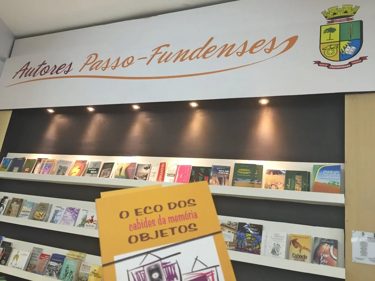 Autores lançam obras na Biblioteca Municipal em Passo Fundo