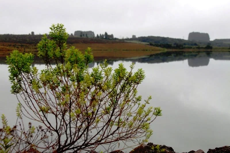 Projeto sobre o Rio Passo Fundo é selecionado em Programa da Caixa Econômica Federal