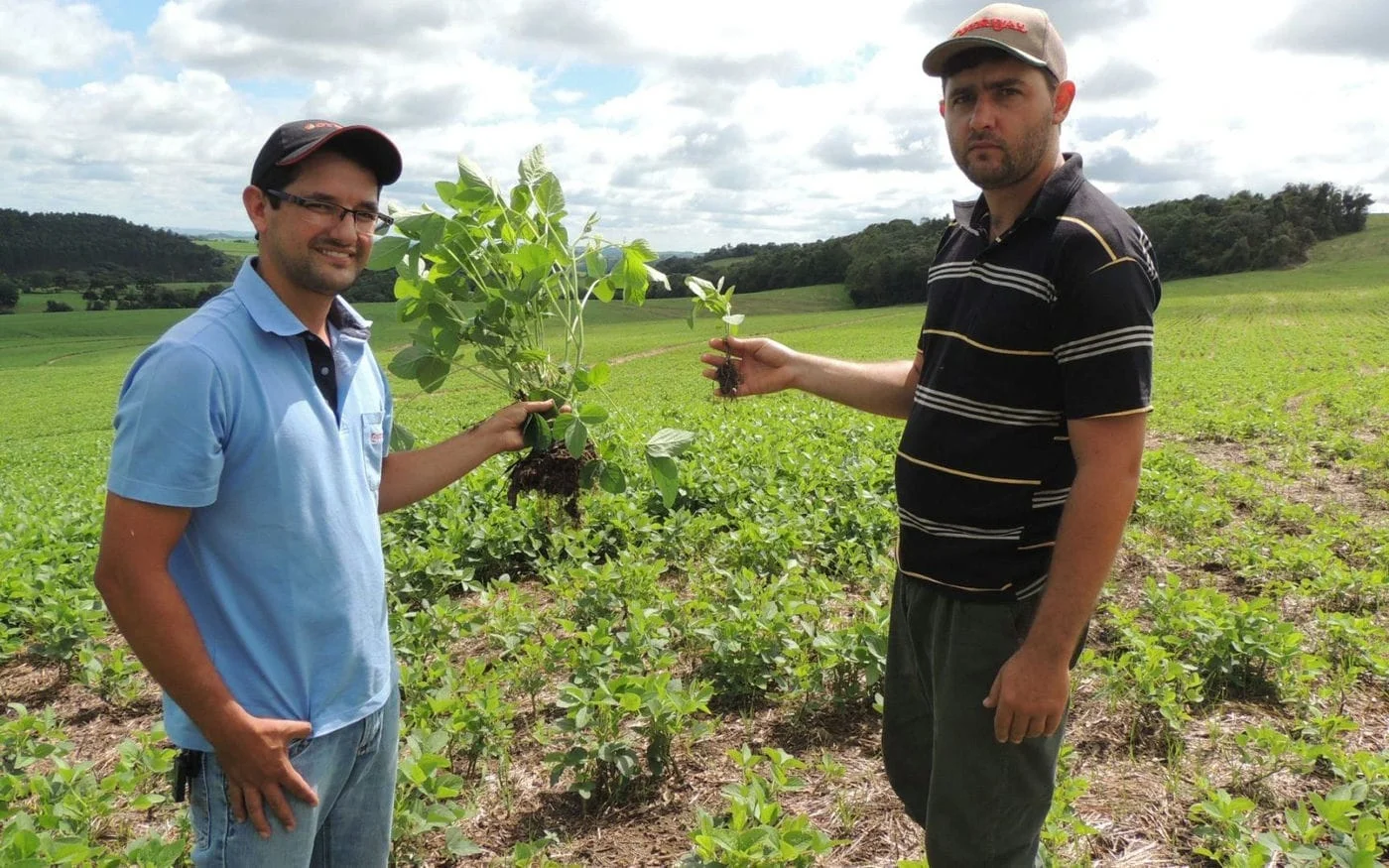 Seguro Agrícola na Cotrijal – R$ 70 milhões segurados nas lavouras em 2016