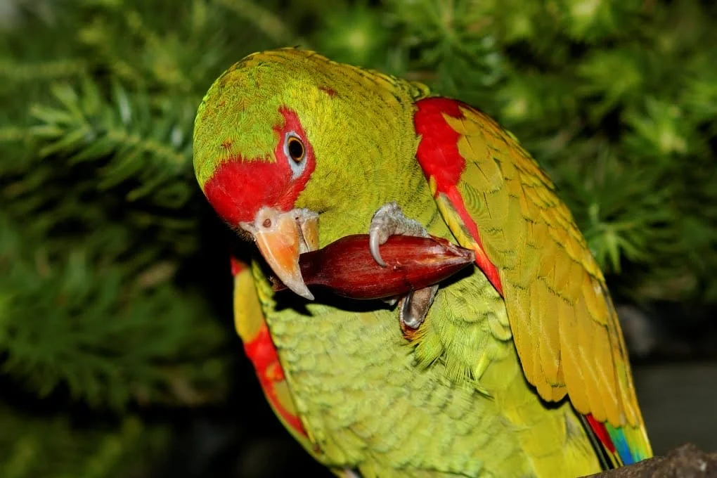 Projeto da UPF é finalista de prêmio nacional