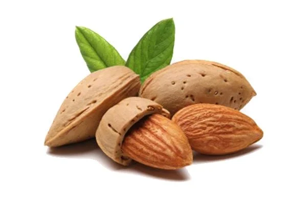 Alimentos para melhorar a saúde da pele