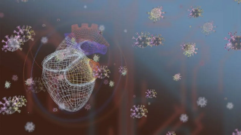 Atenção para o coração