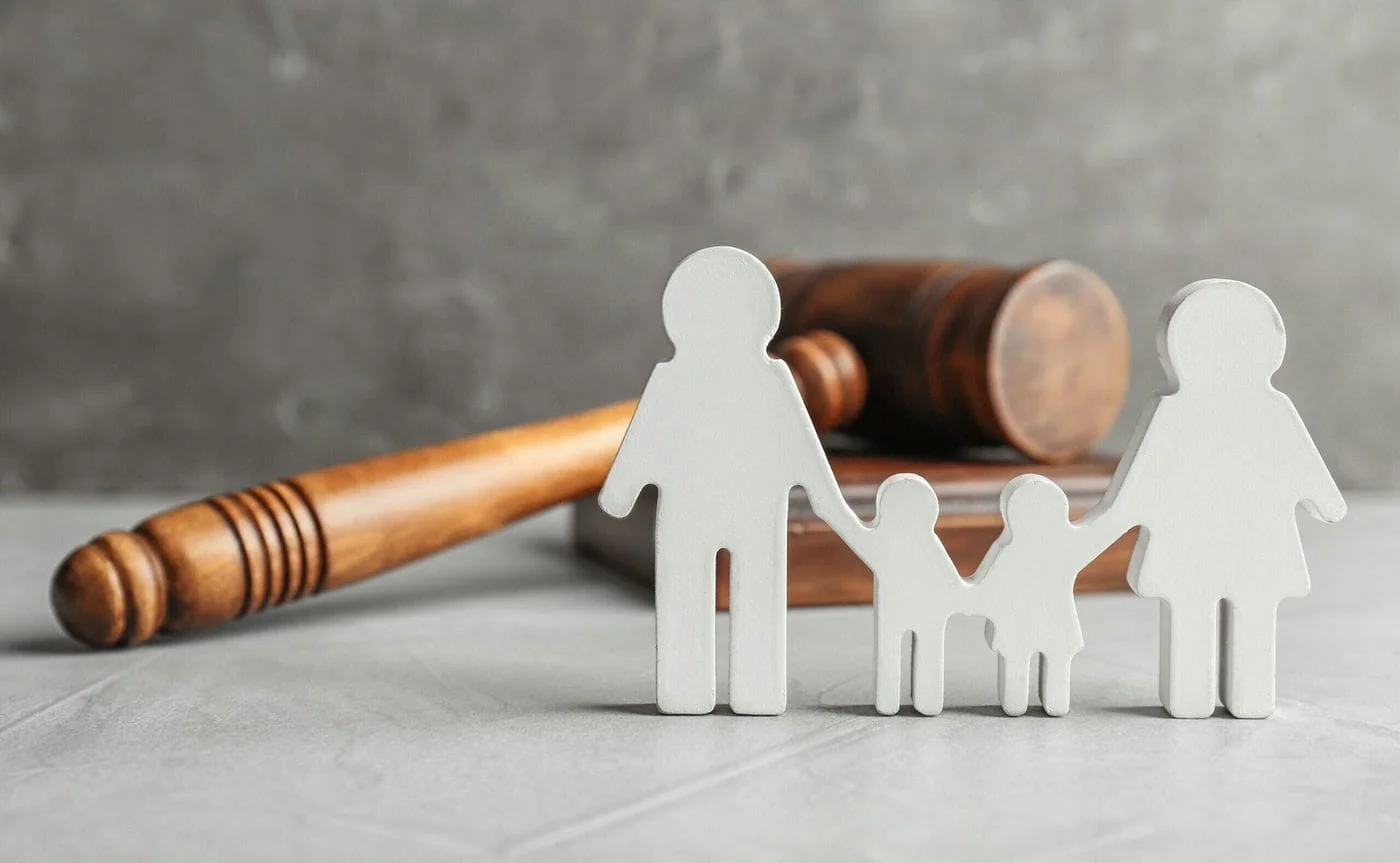 ALIMENTOS DOS FILHOS