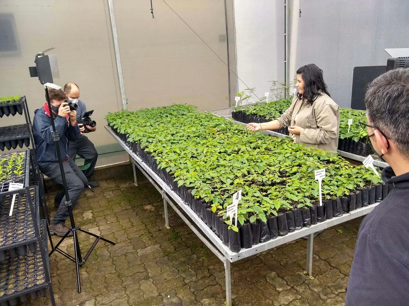 APAE lança calendário de 2022 no próximo dia 24