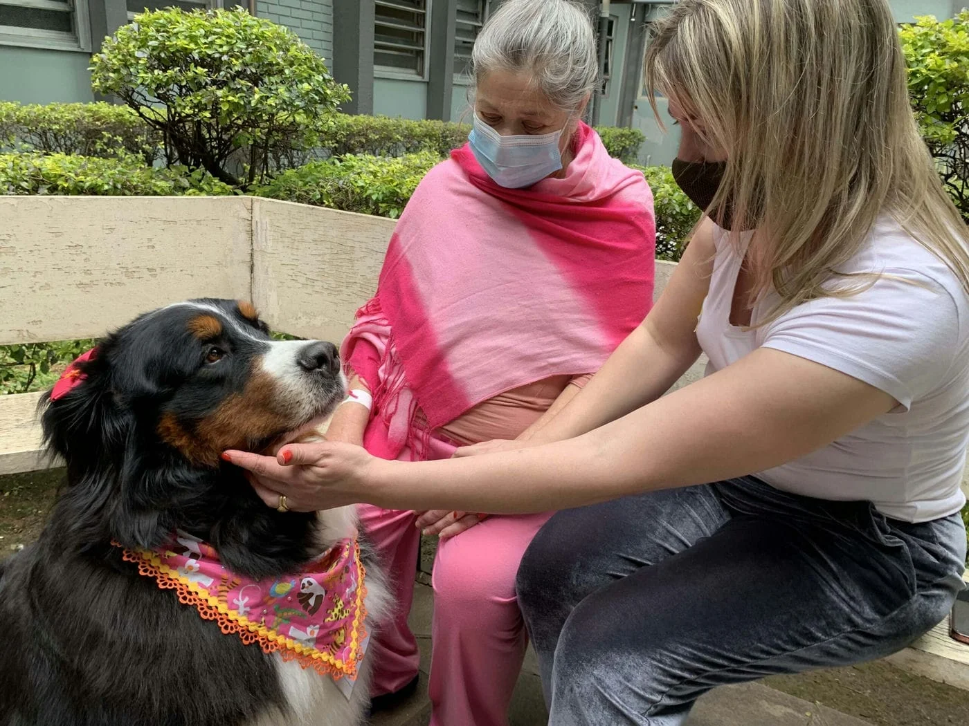 Pet Terapia retoma atividades no HSVP