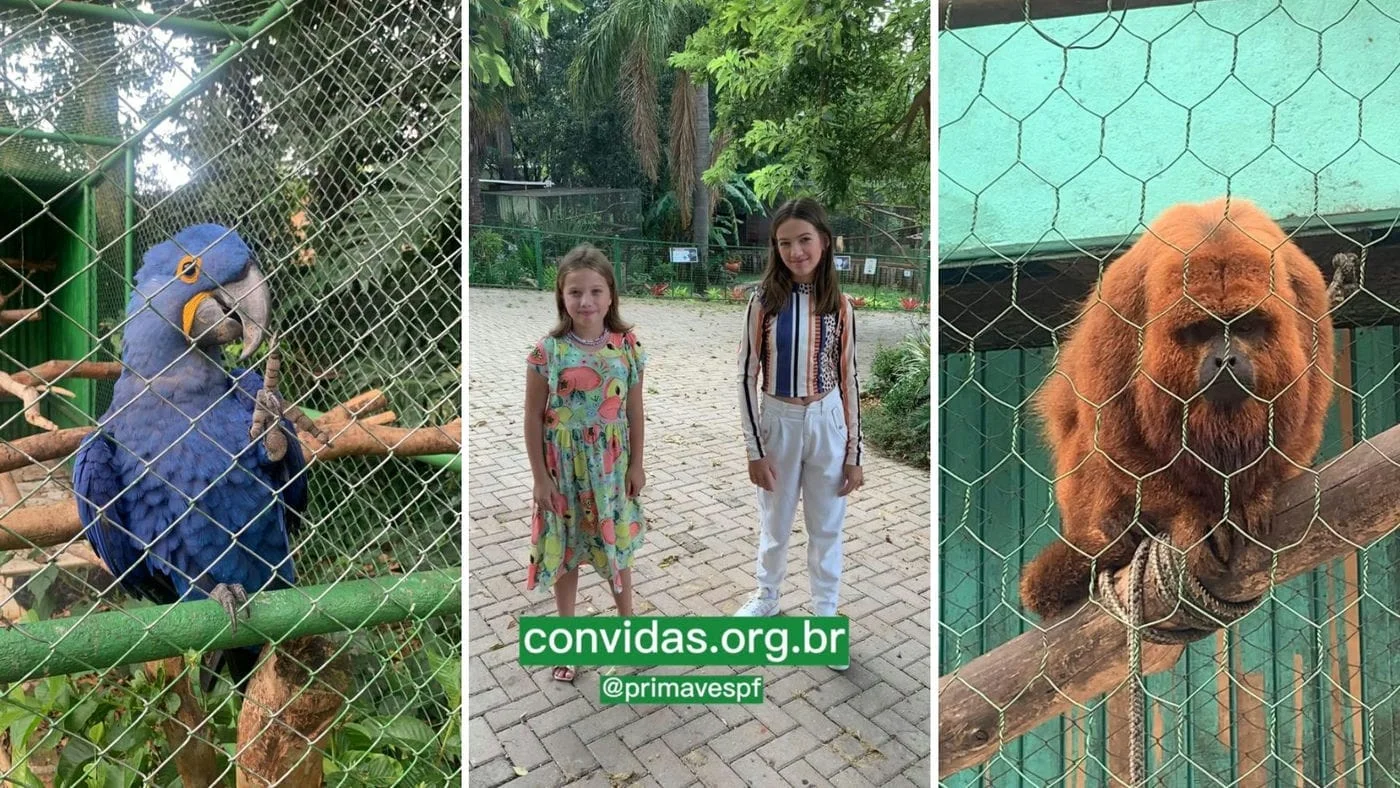 Em visita ao Primaves, Marias aprendem sobre preservação da fauna